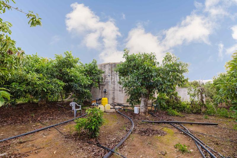 Foto bf3894b8-9115-4dd2-822b-d2f829cdb13d. Fondo rustico in Pinos de Alhaurín Alhaurín de la Torre