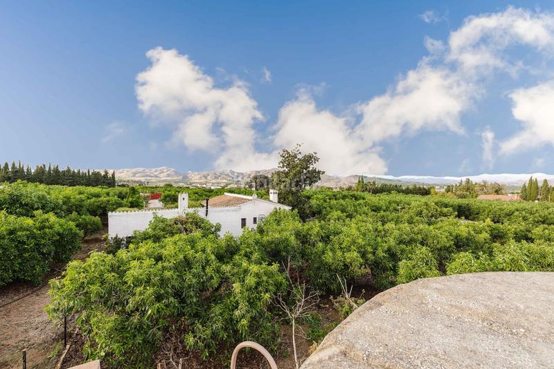 Foto f91bf01c-5435-4ae6-8784-4af0c6836c8a. Fondo rustico in Pinos de Alhaurín Alhaurín de la Torre