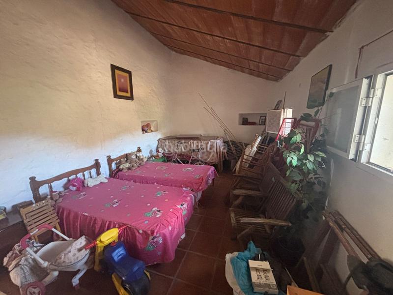 Foto 13f07174-15df-4d70-bcb8-7e2dc688c201. Finca rústica a Almogía