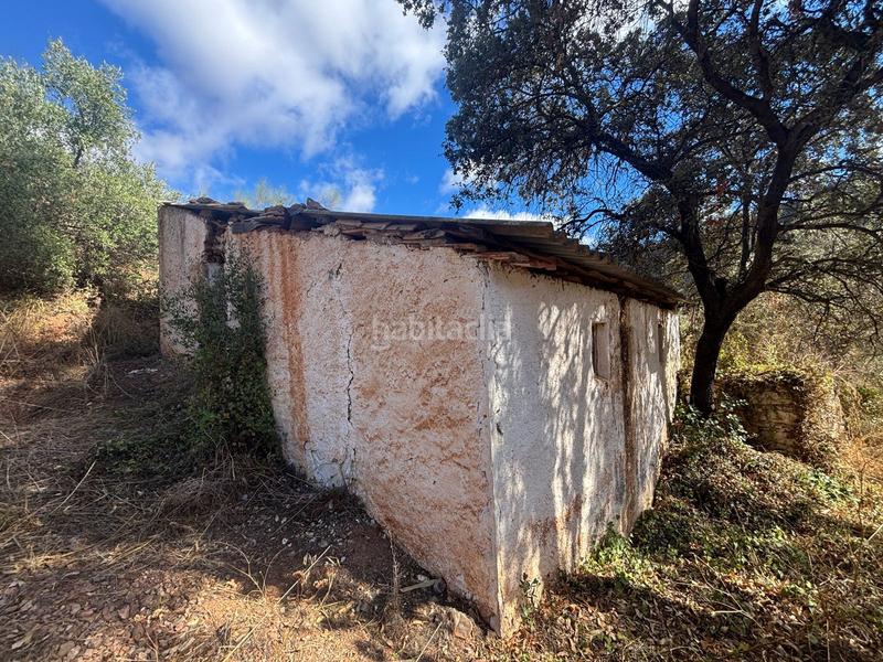 Foto 1f635ce8-9091-4c1a-b681-a47d16fccd09. Finca rústica a Almogía