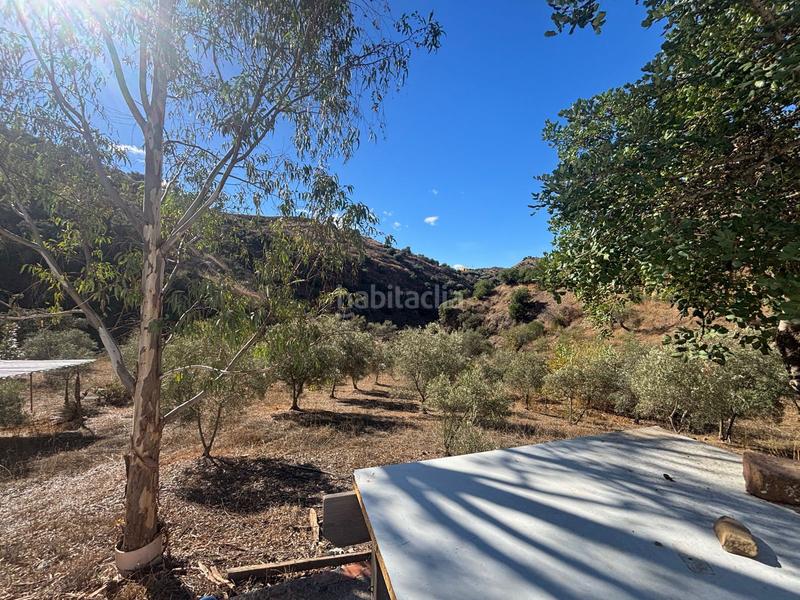 Foto 2a7e320a-46f5-46ba-bd99-3e114f7bdede. Finca rústica a Almogía
