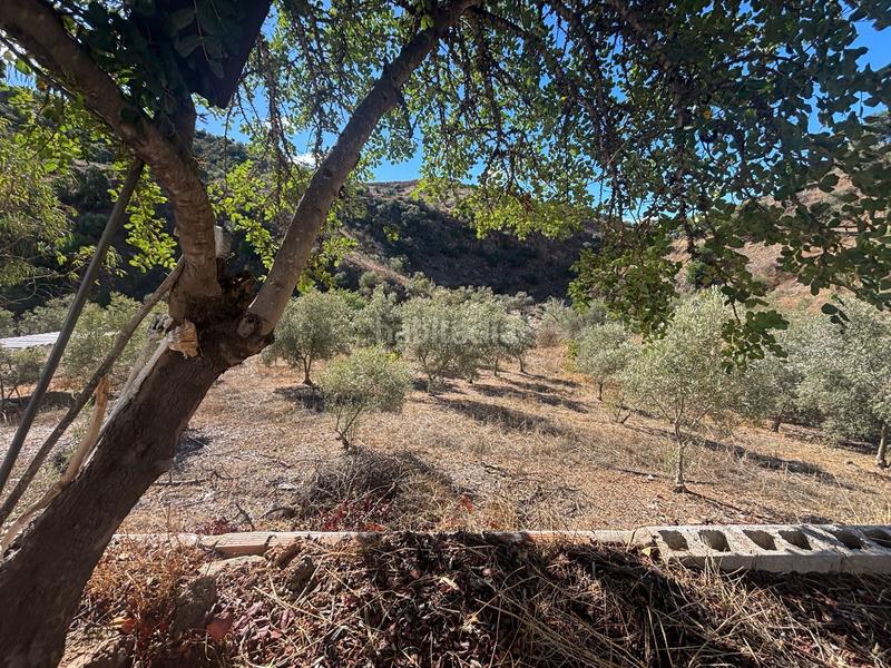 Foto 2ac16da4-3cdc-4dc9-a1aa-3dbd5d99707b. Finca rústica a Almogía