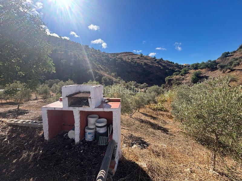 Foto 3c36660b-32d5-45f6-8298-a5c4b74ad796. Finca rústica a Almogía