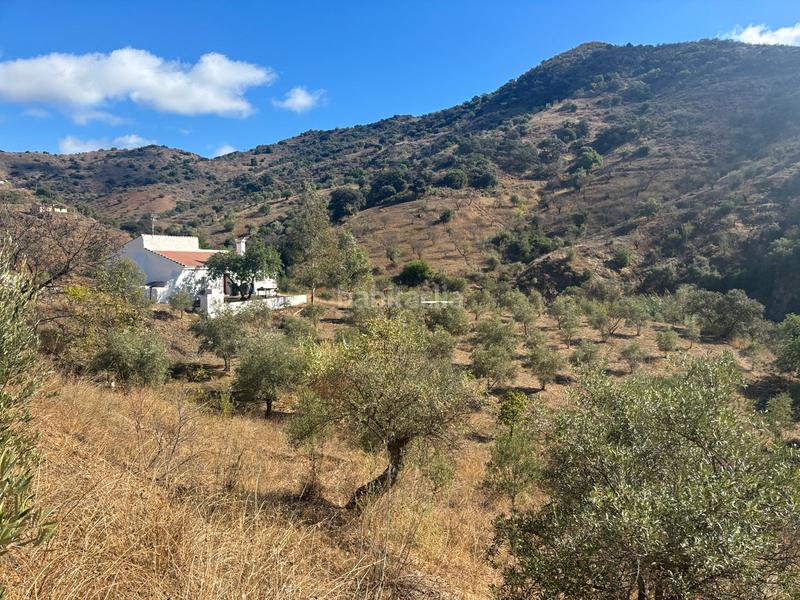 Foto 55b9b668-f17a-4b1b-945b-a76db62d7cff. Finca rústica a Almogía