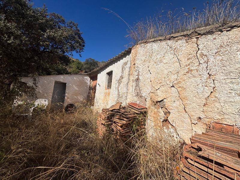 Foto 6971391e-2ec8-492b-bd24-bcc1c19b58e2. Finca rústica a Almogía