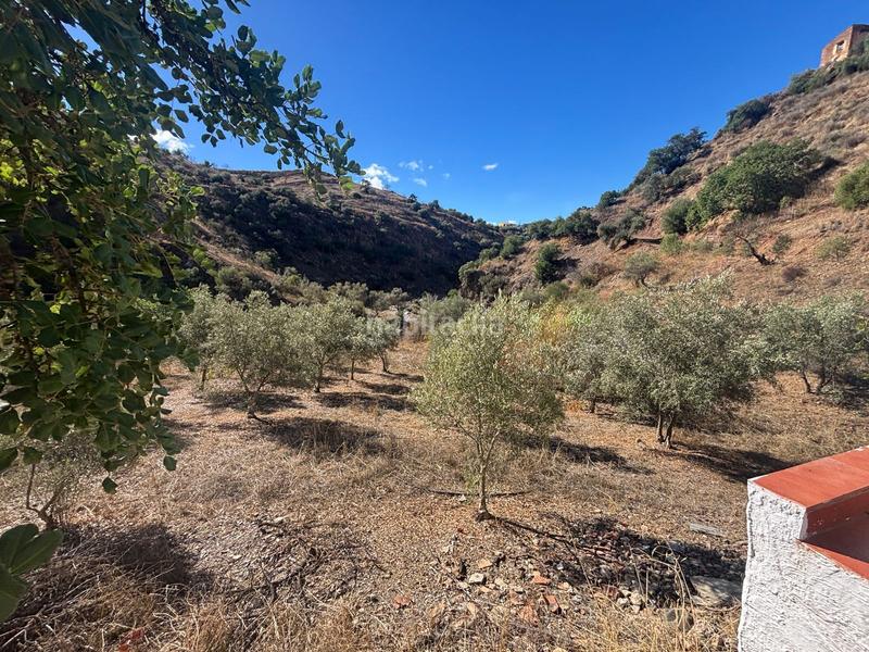 Foto 88ecc619-3969-4f99-8dc0-1f29a92db840. Finca rústica a Almogía