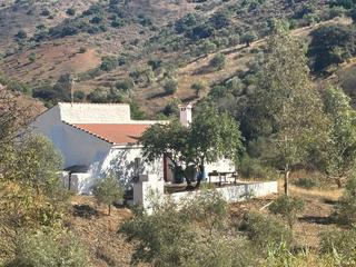 Finca rústica a Almogía. Tu finca de olivos  almogía málaga