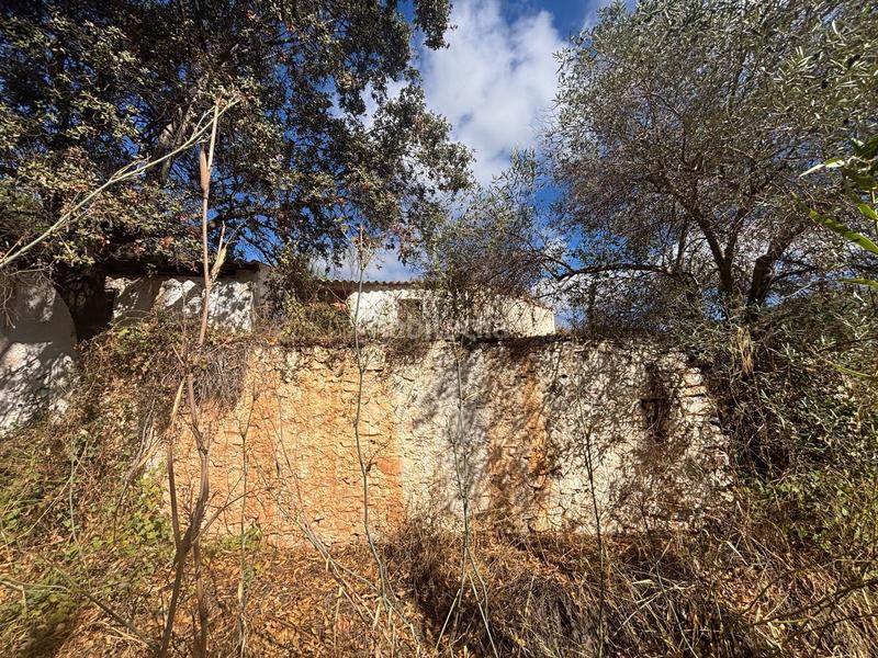 Foto ada26249-0985-4fea-a033-0952f357b340. Finca rústica a Almogía