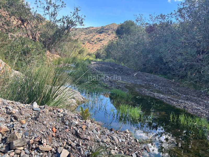 Foto b06a3bbd-1f83-46ce-b000-bb1562f74023. Finca rústica a Almogía