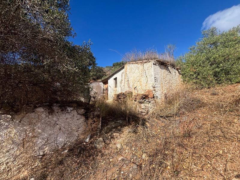 Foto b840f9f6-7f21-4ca6-a477-b94bba2e91d7. Finca rústica a Almogía