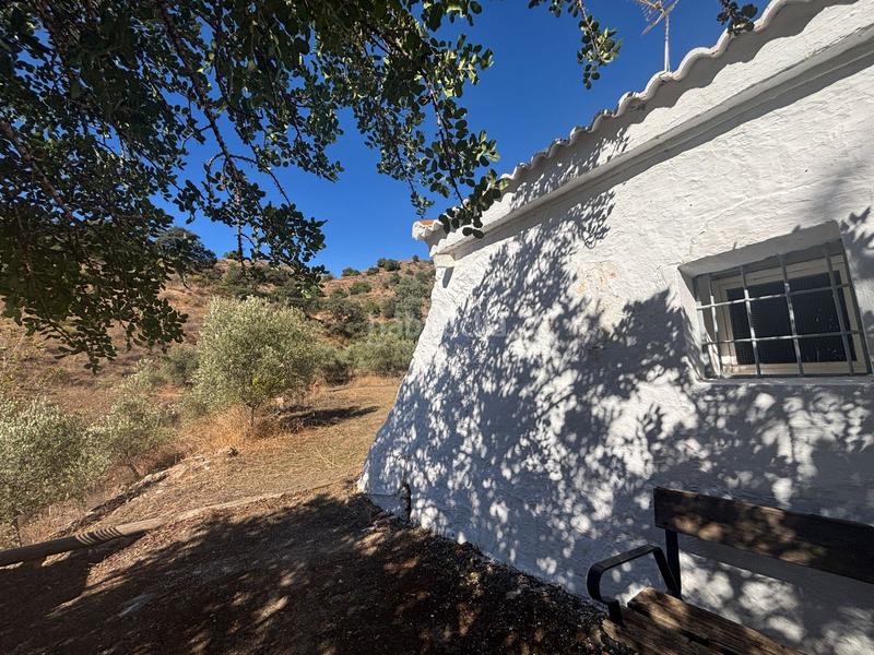 Foto d97f7307-7ef2-4d61-b0e2-ba80688d65f1. Finca rústica a Almogía