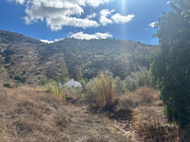 Foto e24a83c9-fc37-4ea8-a3f8-83d0c92dc3b9. Finca rústica a Almogía