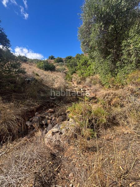 Foto ec4884dd-64da-4de3-bcfc-b0fb4f36baf7. Finca rústica a Almogía