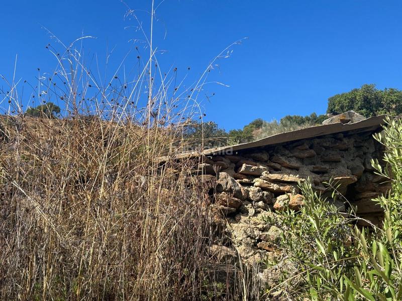 Foto f642a0ba-8d73-467a-abd3-955b3c31271f. Finca rústica a Almogía