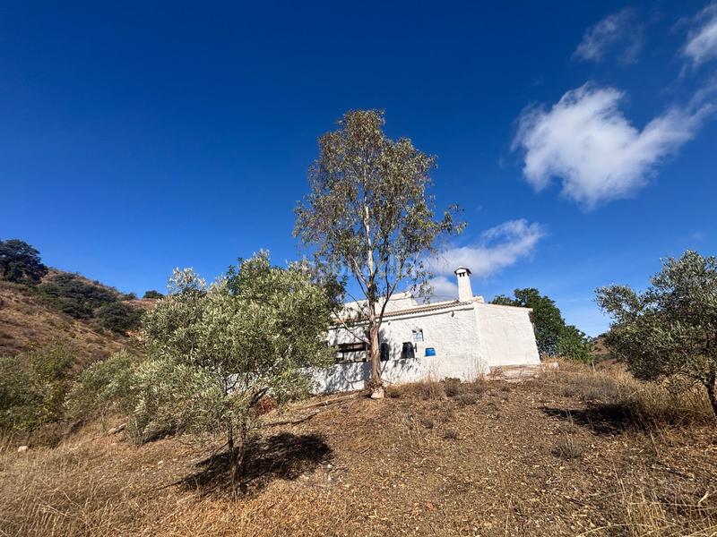 Foto f7164323-93f8-464f-8b71-444f80bd19f3. Finca rústica a Almogía