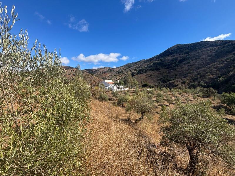 Foto f71927c1-51fc-4dff-81f9-9be248c281d2. Finca rústica a Almogía