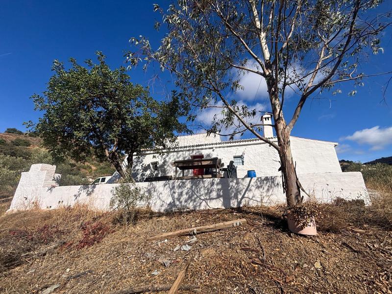 Foto fe957e81-5645-42ea-820a-5013a47d5467. Finca rústica a Almogía