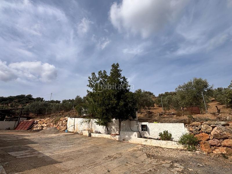Foto 2513400e-b136-425c-9aec-0cd5e6c62b8f. Landgut in Bobadilla - Bobadilla Estación - La Joya Antequera