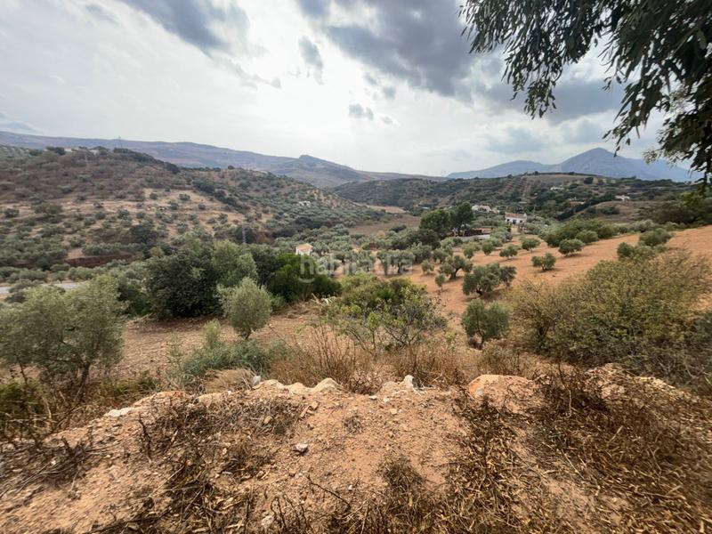 Foto 30be36e8-6d1e-4e7d-8ea0-fb749c93ee7a. Landgut in Bobadilla - Bobadilla Estación - La Joya Antequera