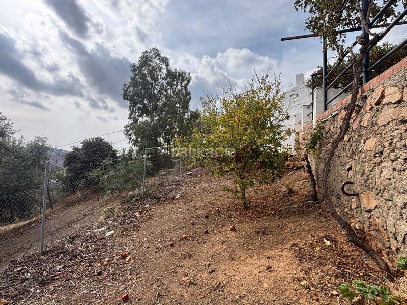 Foto 4ca475ec-2fb9-4d72-ab6d-6d588c72e621. Landgut in Bobadilla - Bobadilla Estación - La Joya Antequera