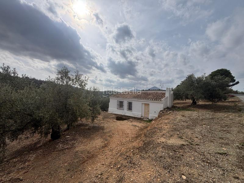 Foto 55129033-ce47-4295-a9a5-62a861bdd51d. Landgut in Bobadilla - Bobadilla Estación - La Joya Antequera