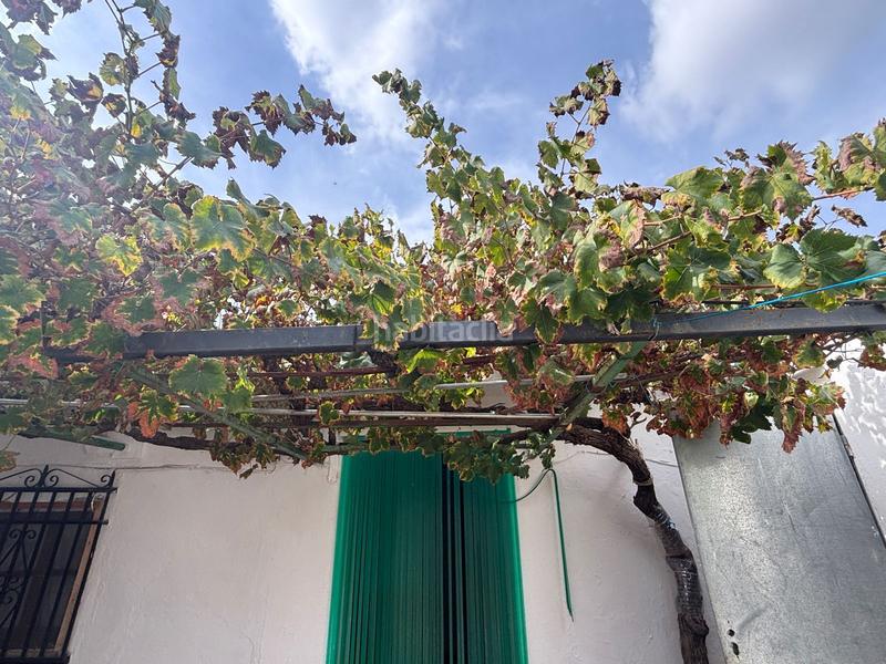 Foto 5c1f00e9-5216-403e-9f34-a28ff9697363. Landgut in Bobadilla - Bobadilla Estación - La Joya Antequera