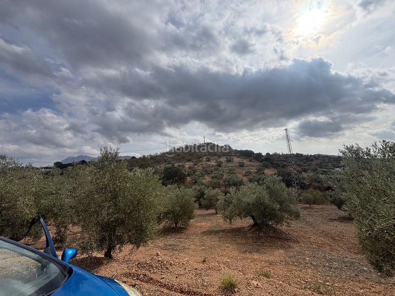 Foto a9586bf7-20ab-4f79-be47-8fe9b2e381ef. Landgut in Bobadilla - Bobadilla Estación - La Joya Antequera