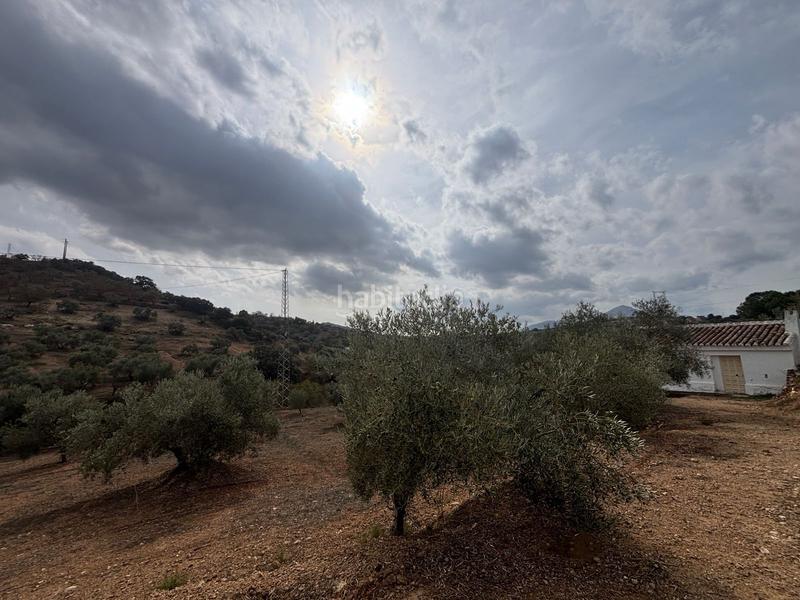 Foto b32d2c71-ff68-4e3f-a9e9-7526b55109b4. Landgut in Bobadilla - Bobadilla Estación - La Joya Antequera
