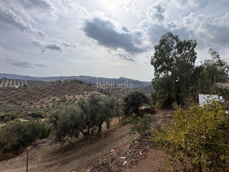 Foto c3173c43-b3e8-46bd-82ca-fec9ea6ff186. Landgut in Bobadilla - Bobadilla Estación - La Joya Antequera