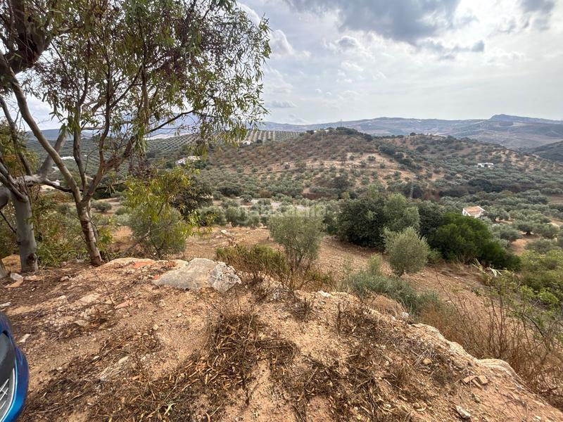Foto e8511799-9853-4084-aaa9-0374b630b021. Landgut in Bobadilla - Bobadilla Estación - La Joya Antequera