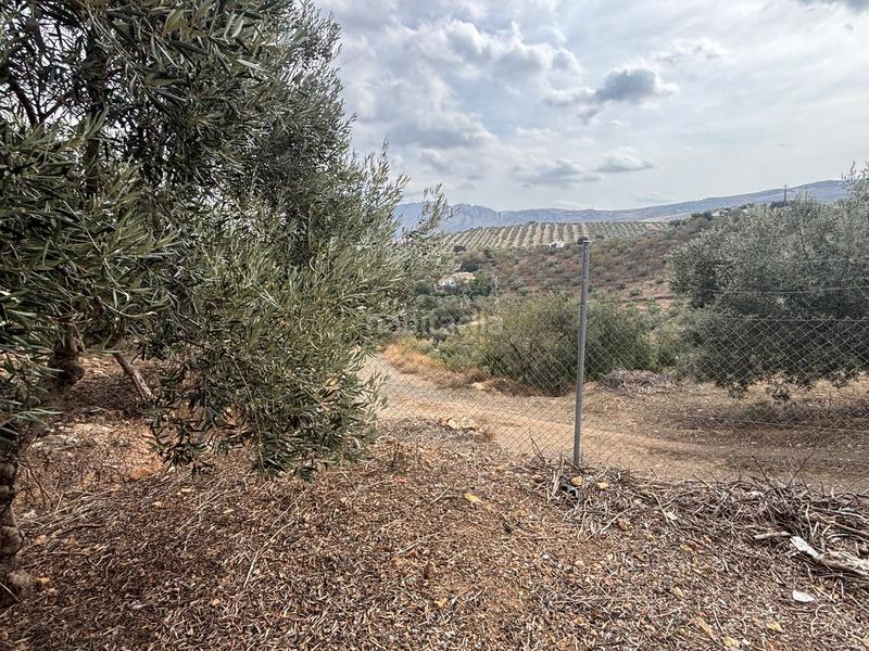 Foto fc4b8539-400e-460b-a747-35246fd3e410. Landgut in Bobadilla - Bobadilla Estación - La Joya Antequera
