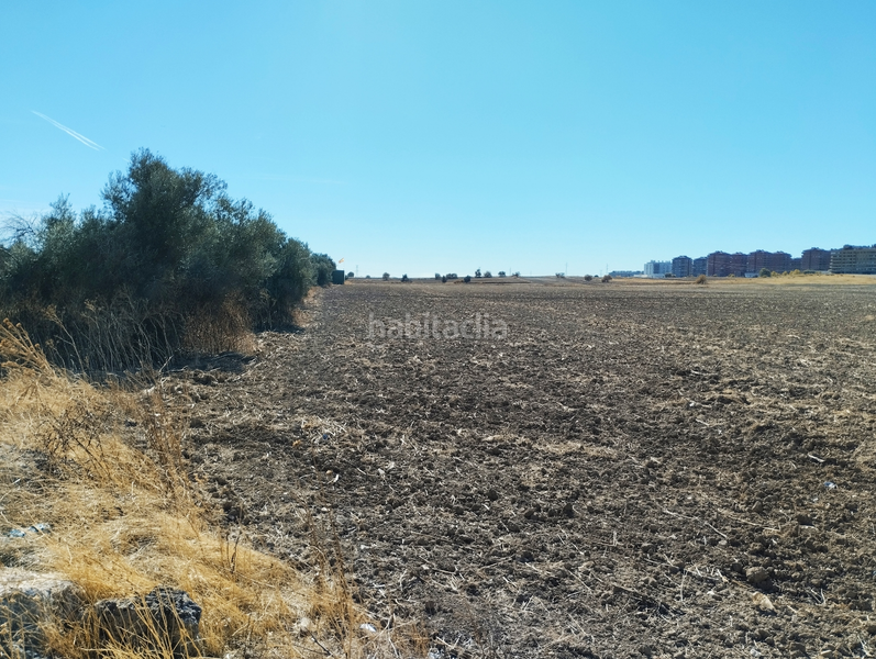 Foto fd51ed96-91c3-49b0-8eb6-3b3b2dc5a0a6. Terreno residencial parcela industrial en venta ciempozuelos en Valdemoro