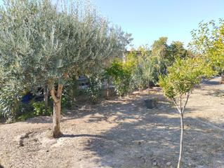 Terreno residencial en Colmenar de Oreja. Parcela residencial en venta  colmenar de oreja