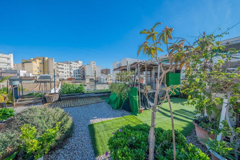 Foto 089a7716-599b-4234-b27f-111ba0684b33. Semi detached house with heating in Norte Sant Vicent del Raspeig