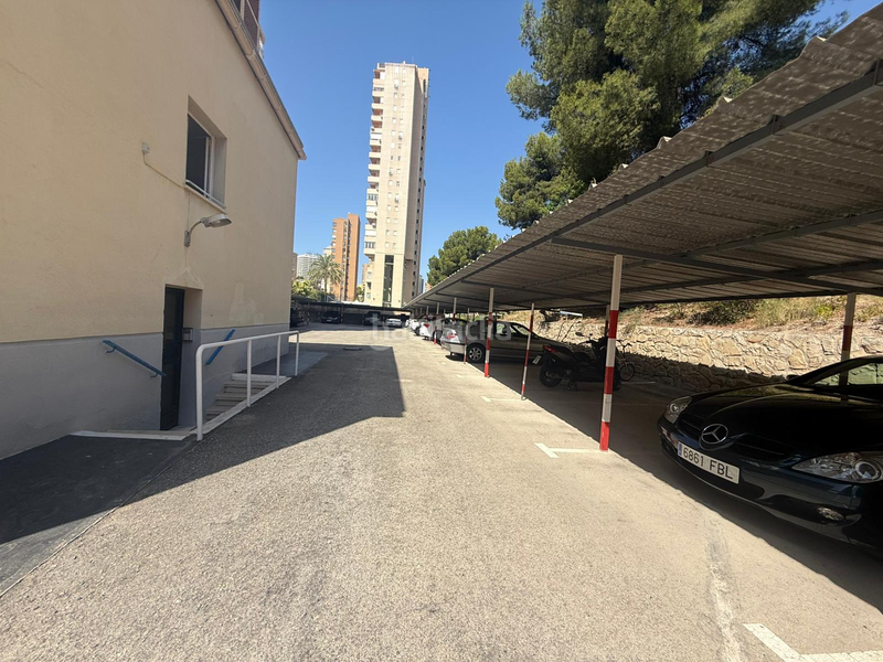 Foto 5ad81356-33ed-4ccd-b49c-e71ef4ea1232. Alquiler piso  en alquiler en Playa Poniente Benidorm