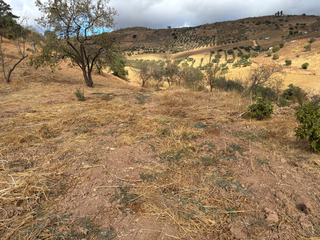 Terreno residencial en Casabermeja. Terreno rústico en venta  casabermeja