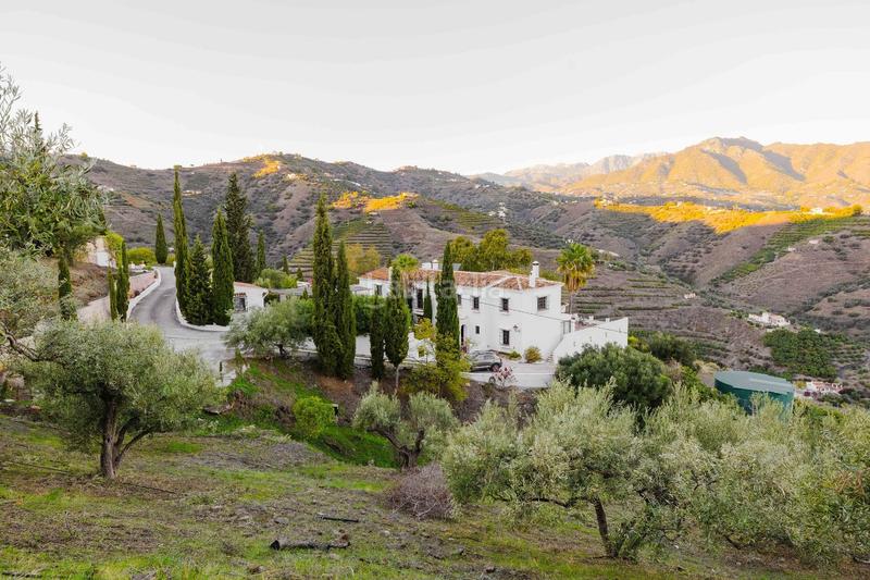 Foto b65be75e-89f3-4b5f-a659-d9d4f9930073. Finca rústica casa rural en venta en Torrox pueblo Torrox