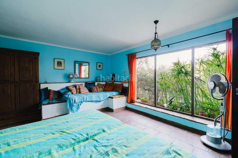 Foto e03f499f-09b5-471e-8334-31606870e23f. Finca rústica casa rural en venta en Torrox pueblo Torrox