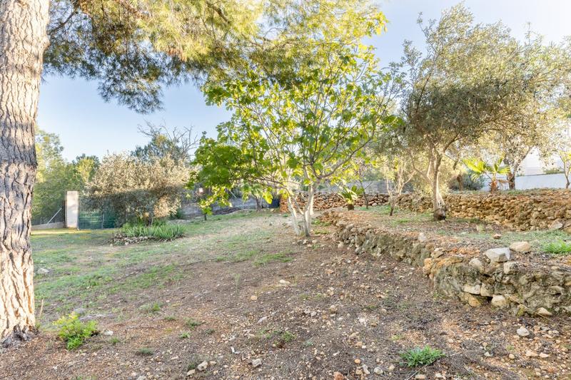 Foto 978adad3-5fc1-4c6d-8fb0-f38546926b72. Casale con riscaldamento in Vilamarxant