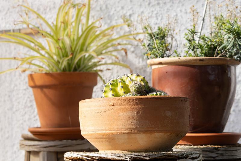 Foto 86c0fa03-e6c3-4d20-8ac0-4f3e55940066. Casa a Colmenar del Arroyo