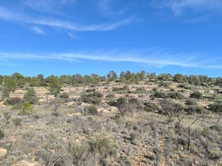 Terreny residencial a Romana (la)