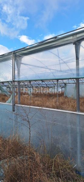 Foto fc85e397-de17-4376-ac48-a03bf333869f. Finca rústica a Molar (El)