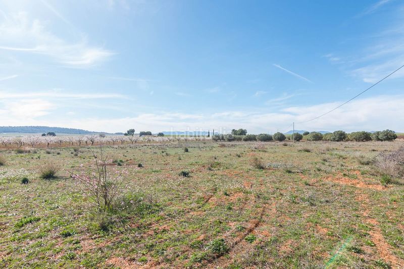 Foto a7f9c554-e657-47d2-a8b4-fafb0023278a. Masia amb calefacció aparcament a Mula