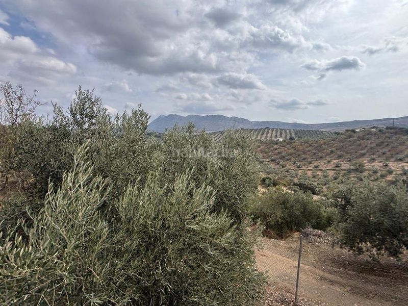 Foto 4d0e1aaa-f6cb-493a-abef-3ef7d0a05b78. Masia amb calefacció a Bobadilla - Bobadilla Estación - La Joya Antequera