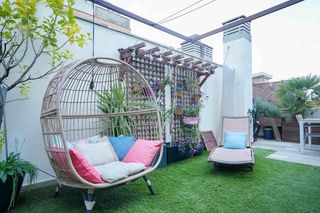 Penthouse  C. ariel
