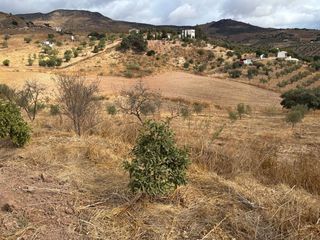 Finca rústica  Diseminado poligono 1