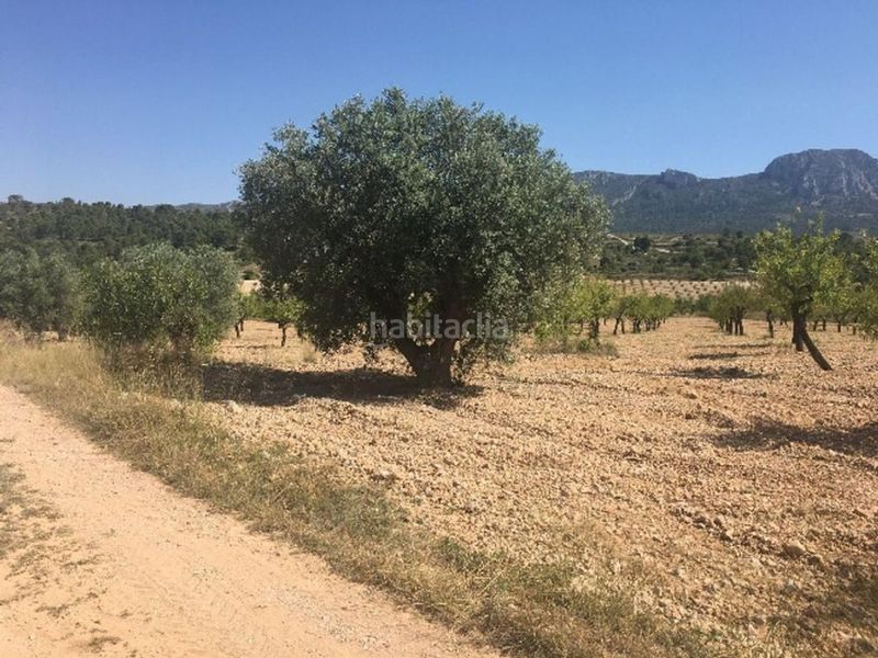 Foto efb5ba62-5588-4428-ba12-32655cc7a23f. Finca rústica a Romana (la)