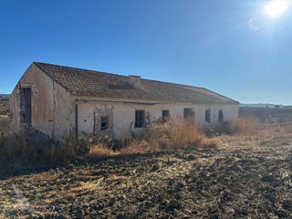 Fondo rustico  Polígono 7 parcela