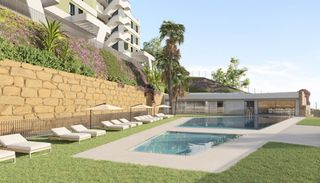 Flat  C. brida