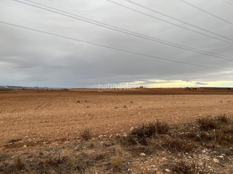 Foto 1f83a3e6-58ff-44ed-ab0c-009af337707c. Finca rústica a Jumilla